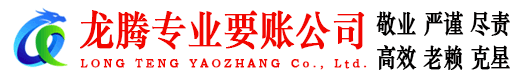日照清债公司