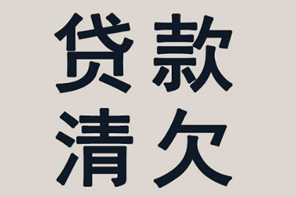 十万元借款无力偿还，可能面临何种刑罚？
